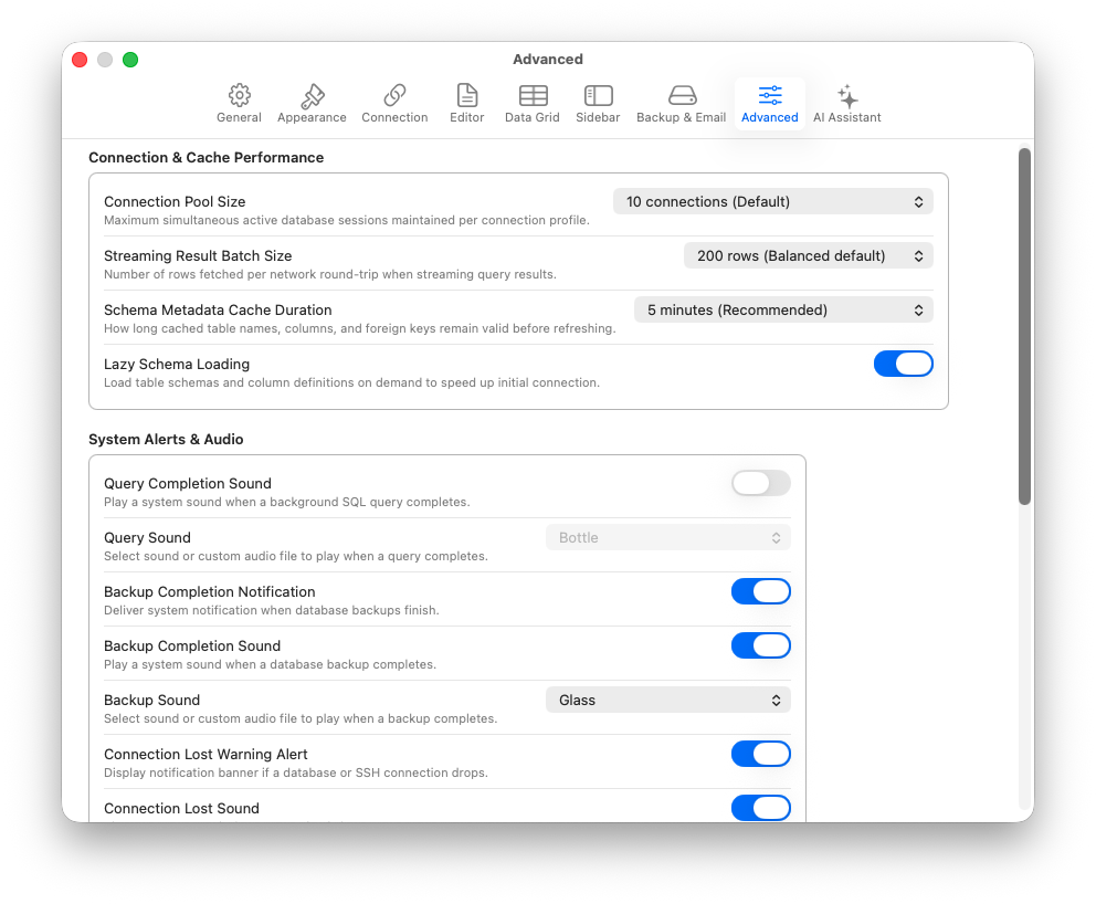Advanced preferences - connection pool size, streaming batch size, and schema cache configuration
